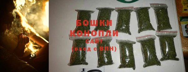 ГАЛЛЮЦИНОГЕННЫЕ ГРИБЫ Алексин