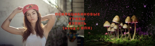 амфетамин Алексеевка