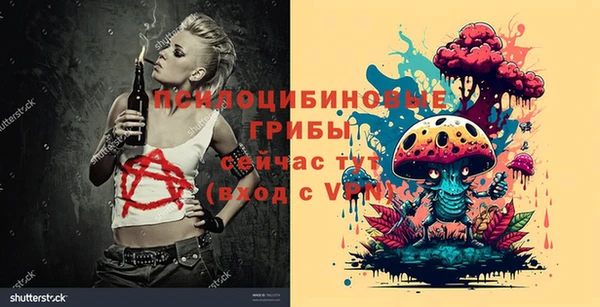 ГАЛЛЮЦИНОГЕННЫЕ ГРИБЫ Алексин
