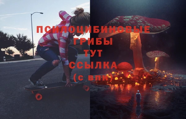 таблы Алзамай