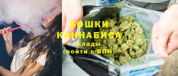 ГАЛЛЮЦИНОГЕННЫЕ ГРИБЫ Алексин