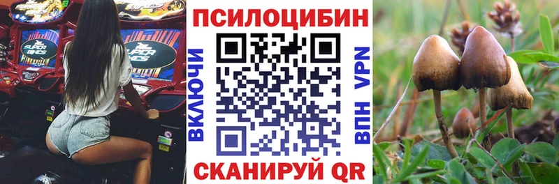 Галлюциногенные грибы Magic Shrooms  МЕГА маркетплейс  Медынь  как найти закладки 